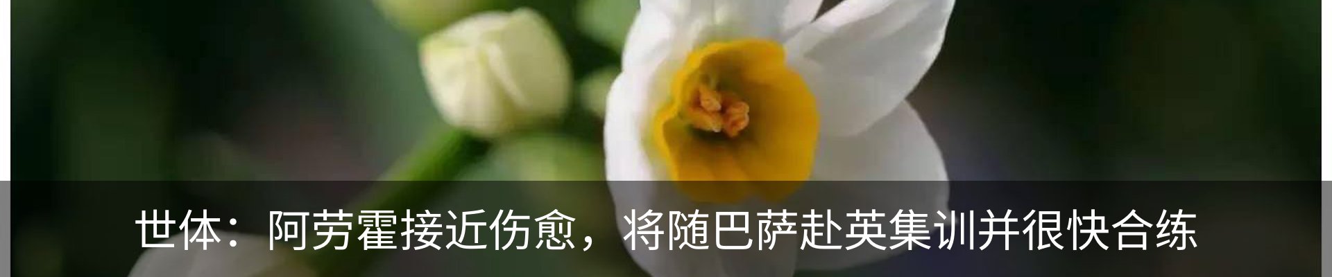 资讯动态