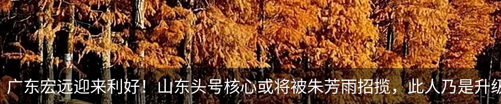 资讯动态