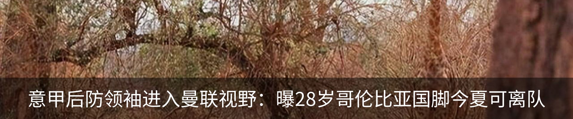 资讯动态