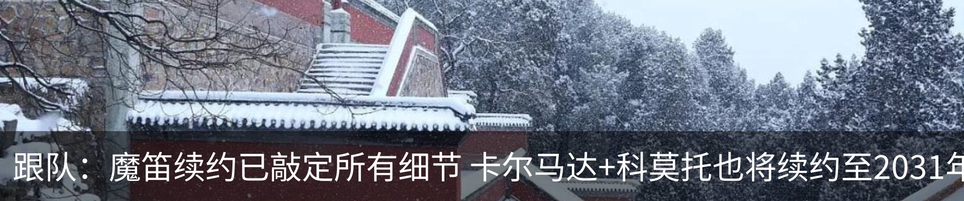 资讯动态